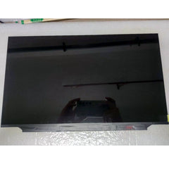 B173HAN04.9, 1920 x 1080, 17.3" LCD Screen